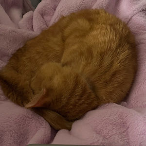 Meet your Posher, Isabelle